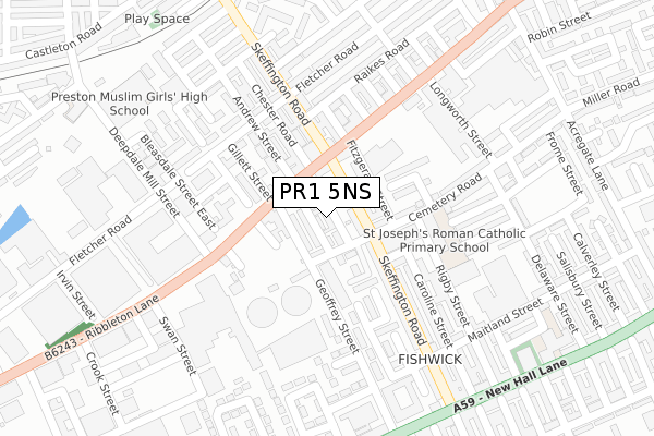 PR1 5NS map - large scale - OS Open Zoomstack (Ordnance Survey)