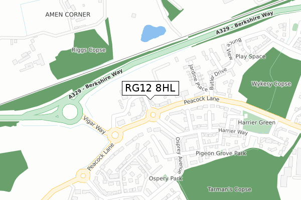 RG12 8HL map - large scale - OS Open Zoomstack (Ordnance Survey) RG12 8HL map - large scale - OS Open Zoomstack (Ordnance Survey)