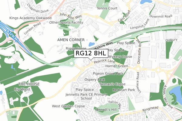 RG12 8HL map - small scale - OS Open Zoomstack (Ordnance Survey) RG12 8HL map - small scale - OS Open Zoomstack (Ordnance Survey)