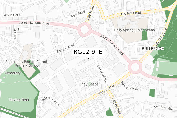 RG12 9TE map - large scale - OS Open Zoomstack (Ordnance Survey) RG12 9TE map - large scale - OS Open Zoomstack (Ordnance Survey)