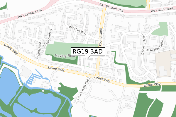 RG19 3AD map - large scale - OS Open Zoomstack (Ordnance Survey)