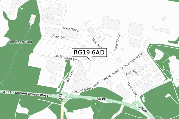 RG19 6AD map - large scale - OS Open Zoomstack (Ordnance Survey)