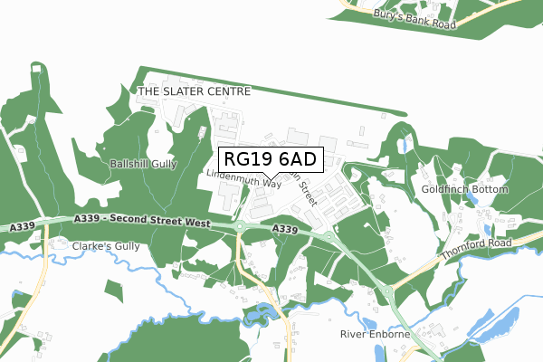 RG19 6AD map - small scale - OS Open Zoomstack (Ordnance Survey)