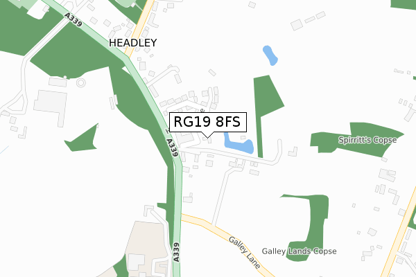 RG19 8FS map - large scale - OS Open Zoomstack (Ordnance Survey)