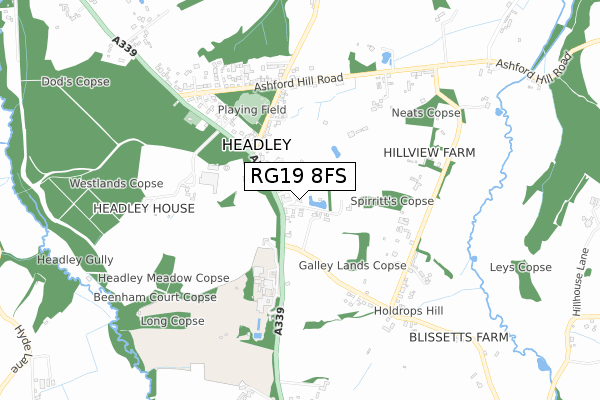RG19 8FS map - small scale - OS Open Zoomstack (Ordnance Survey)