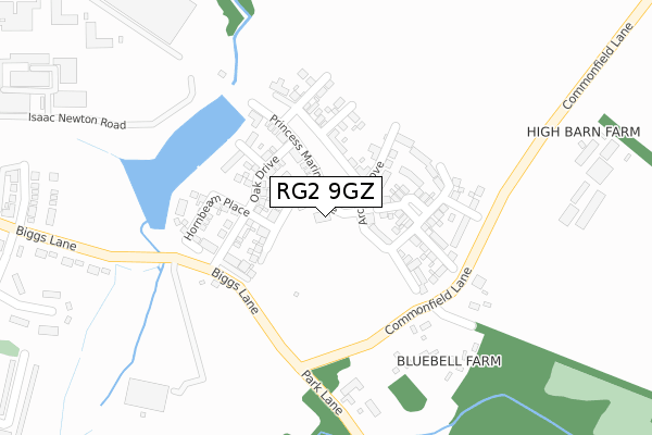 RG2 9GZ map - large scale - OS Open Zoomstack (Ordnance Survey)
