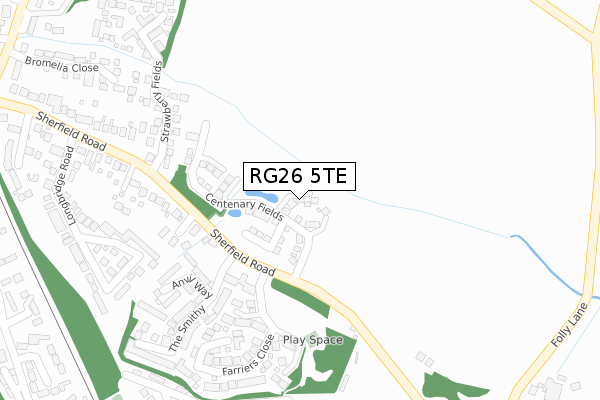 RG26 5TE map - large scale - OS Open Zoomstack (Ordnance Survey)