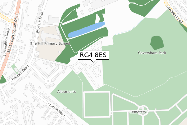 RG4 8ES map - large scale - OS Open Zoomstack (Ordnance Survey)
