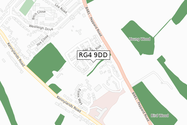 RG4 9DD map - large scale - OS Open Zoomstack (Ordnance Survey)