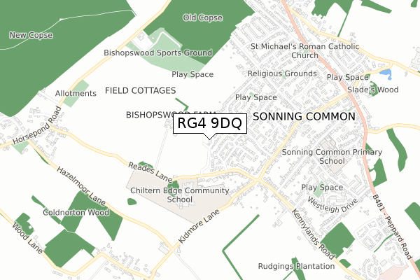 RG4 9DQ map - small scale - OS Open Zoomstack (Ordnance Survey)