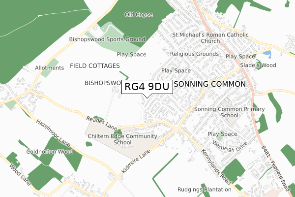 RG4 9DU map - small scale - OS Open Zoomstack (Ordnance Survey)