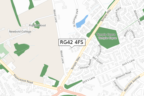 RG42 4FS map - large scale - OS Open Zoomstack (Ordnance Survey)