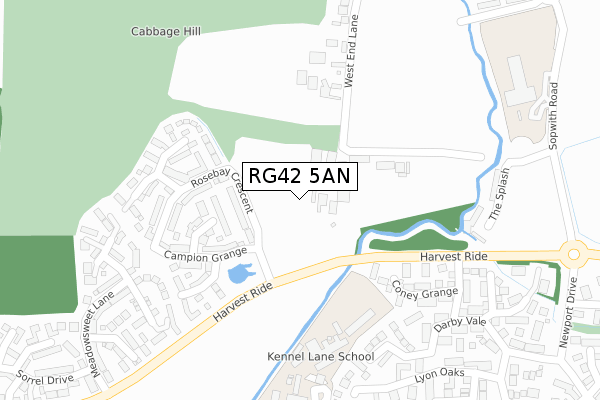 RG42 5AN map - large scale - OS Open Zoomstack (Ordnance Survey)