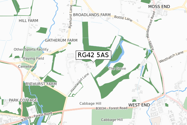 RG42 5AS map - small scale - OS Open Zoomstack (Ordnance Survey)
