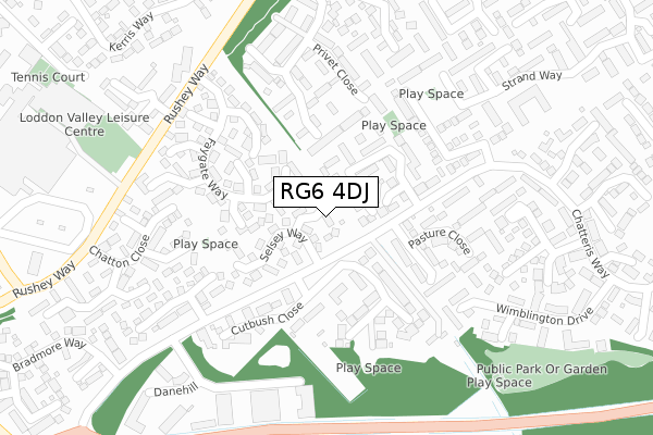 RG6 4DJ map - large scale - OS Open Zoomstack (Ordnance Survey)
