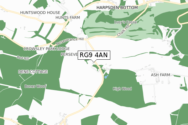 RG9 4AN map - small scale - OS Open Zoomstack (Ordnance Survey)