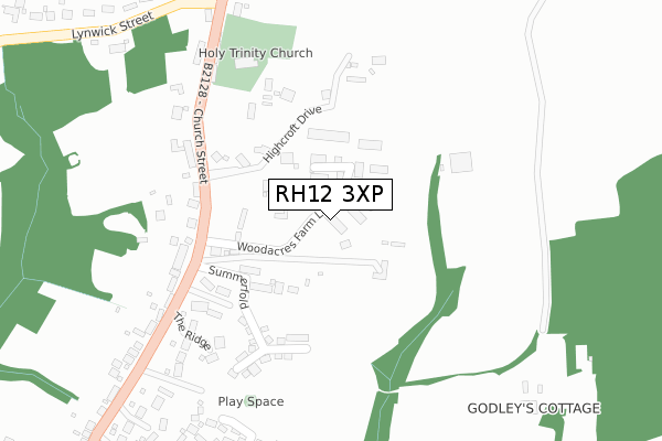 RH12 3XP map - large scale - OS Open Zoomstack (Ordnance Survey)