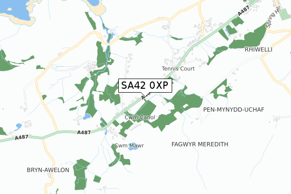 SA42 0XP map - small scale - OS Open Zoomstack (Ordnance Survey)