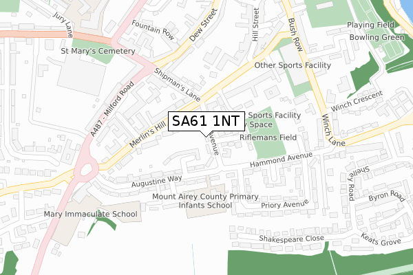 SA61 1NT map - large scale - OS Open Zoomstack (Ordnance Survey)
