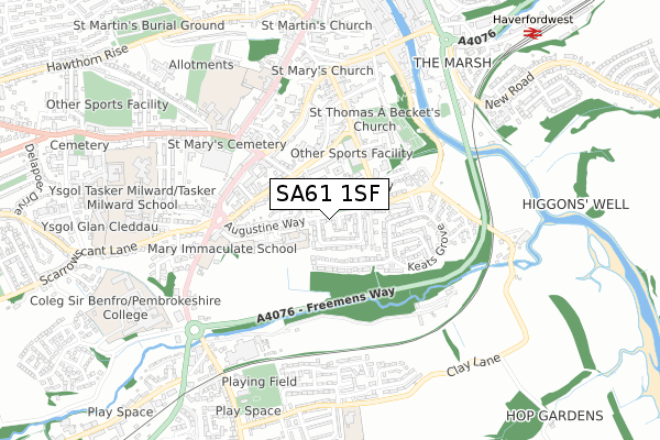 SA61 1SF map - small scale - OS Open Zoomstack (Ordnance Survey)