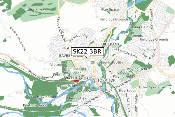 SK22 3BR map - small scale - OS Open Zoomstack (Ordnance Survey)