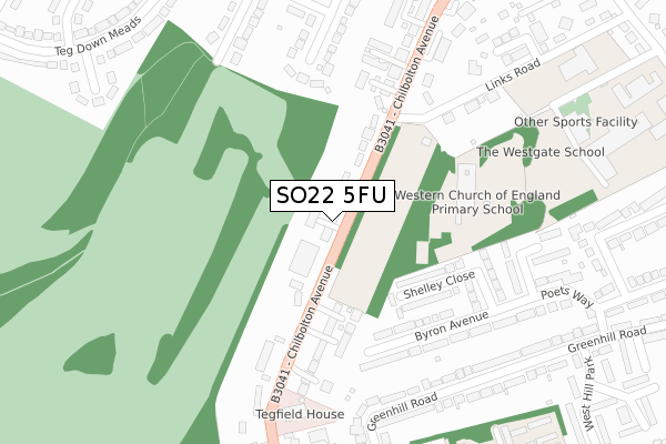 SO22 5FU map - large scale - OS Open Zoomstack (Ordnance Survey)