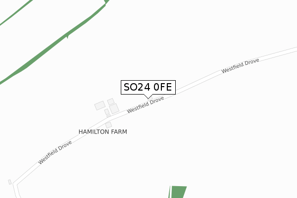 SO24 0FE map - large scale - OS Open Zoomstack (Ordnance Survey)