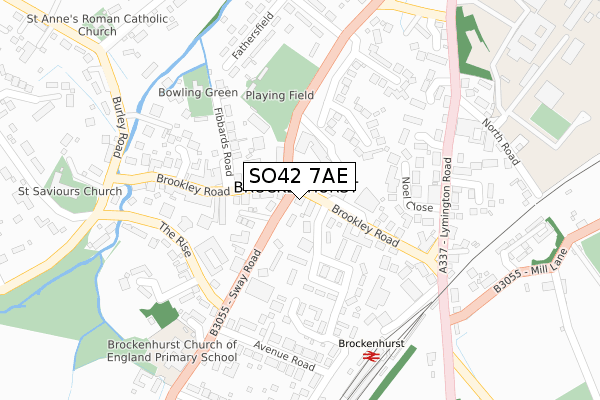 SO42 7AE map - large scale - OS Open Zoomstack (Ordnance Survey)