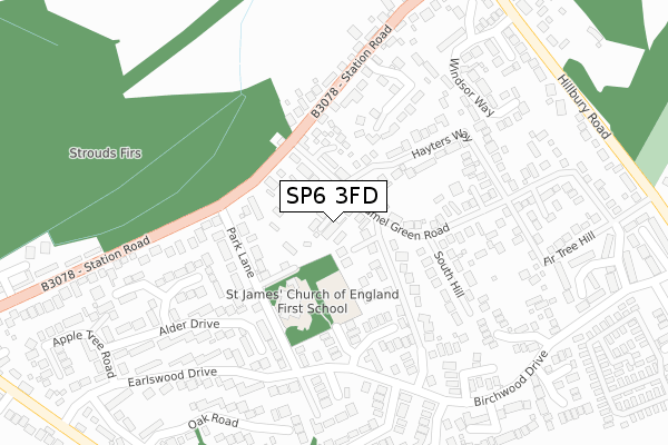 SP6 3FD map - large scale - OS Open Zoomstack (Ordnance Survey)