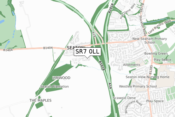 SR7 0LL map - small scale - OS Open Zoomstack (Ordnance Survey)