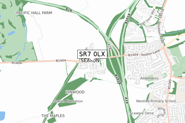 SR7 0LX map - small scale - OS Open Zoomstack (Ordnance Survey)