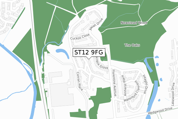 ST12 9FG map - large scale - OS Open Zoomstack (Ordnance Survey)