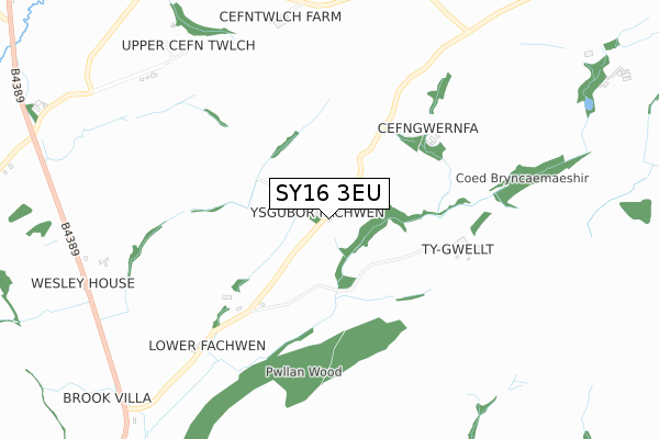 SY16 3EU map - small scale - OS Open Zoomstack (Ordnance Survey) SY16 3EU map - small scale - OS Open Zoomstack (Ordnance Survey)