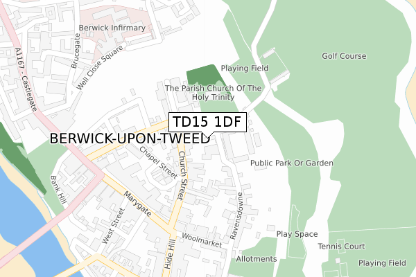 TD15 1DF map - large scale - OS Open Zoomstack (Ordnance Survey)