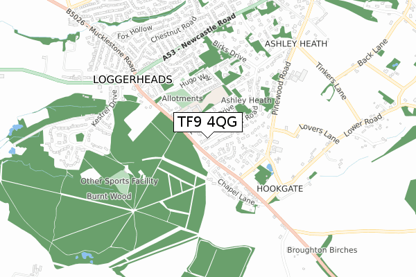 TF9 4QG map - small scale - OS Open Zoomstack (Ordnance Survey)