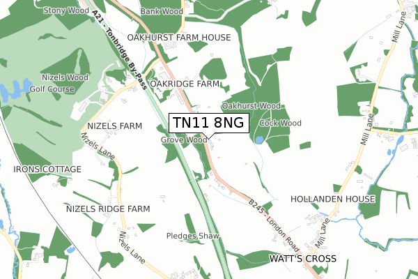 TN11 8NG map - small scale - OS Open Zoomstack (Ordnance Survey)