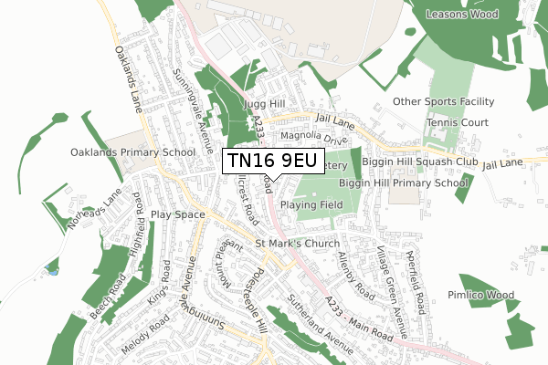 TN16 9EU map - small scale - OS Open Zoomstack (Ordnance Survey)