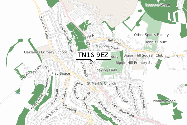 TN16 9EZ map - small scale - OS Open Zoomstack (Ordnance Survey)