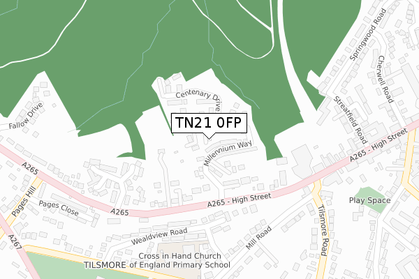 TN21 0FP map - large scale - OS Open Zoomstack (Ordnance Survey)