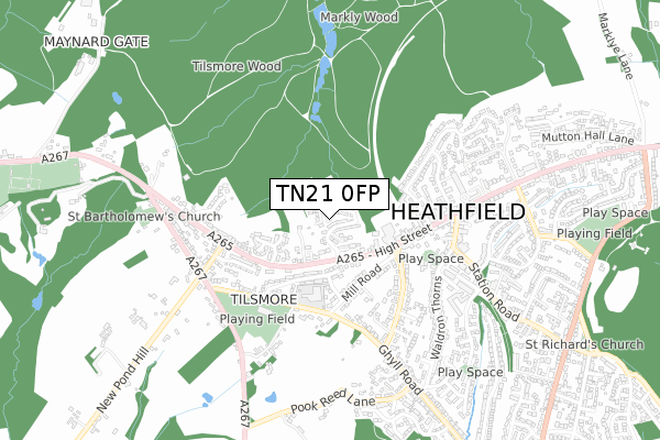 TN21 0FP map - small scale - OS Open Zoomstack (Ordnance Survey)
