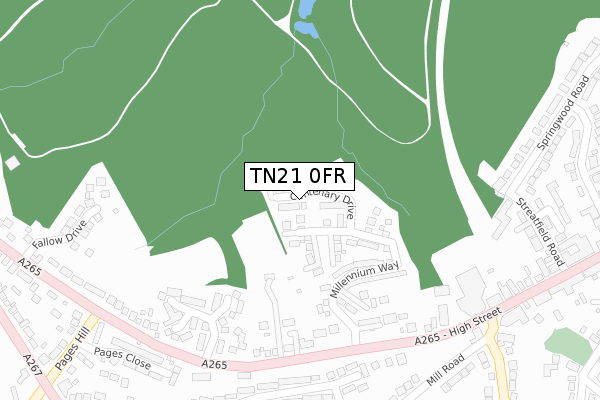 TN21 0FR map - large scale - OS Open Zoomstack (Ordnance Survey) TN21 0FR map - large scale - OS Open Zoomstack (Ordnance Survey)
