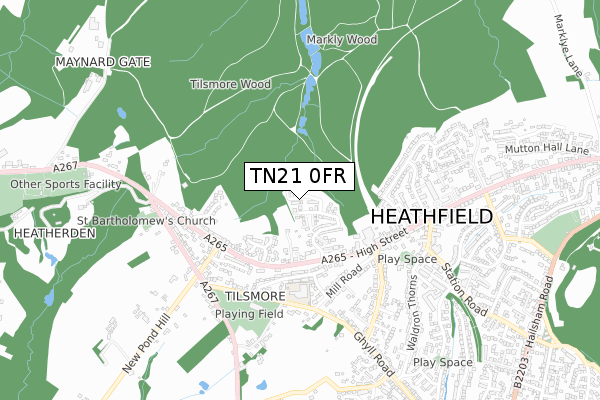 TN21 0FR map - small scale - OS Open Zoomstack (Ordnance Survey)
