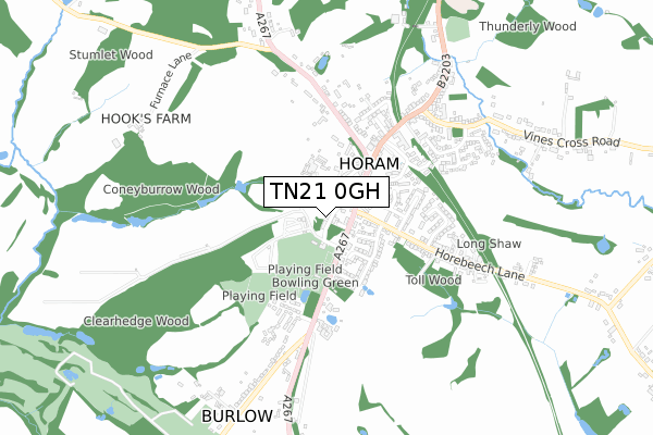 TN21 0GH map - small scale - OS Open Zoomstack (Ordnance Survey)