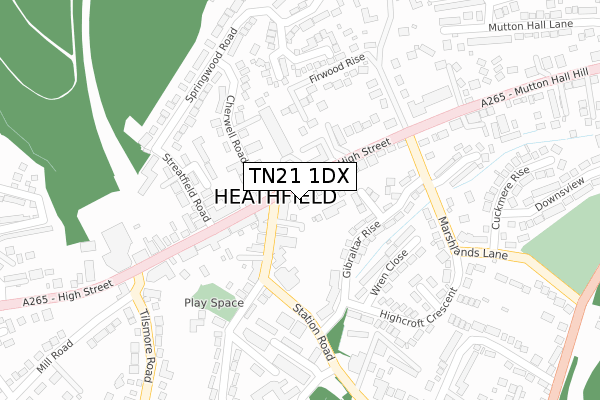 TN21 1DX map - large scale - OS Open Zoomstack (Ordnance Survey) TN21 1DX map - large scale - OS Open Zoomstack (Ordnance Survey)