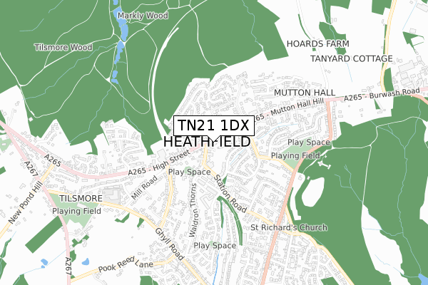 TN21 1DX map - small scale - OS Open Zoomstack (Ordnance Survey) TN21 1DX map - small scale - OS Open Zoomstack (Ordnance Survey)