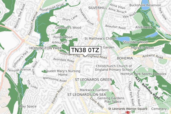 TN38 0TZ map - small scale - OS Open Zoomstack (Ordnance Survey)