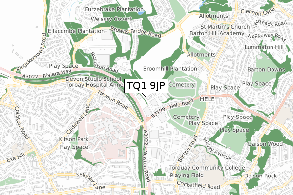 TQ1 9JP map - small scale - OS Open Zoomstack (Ordnance Survey)