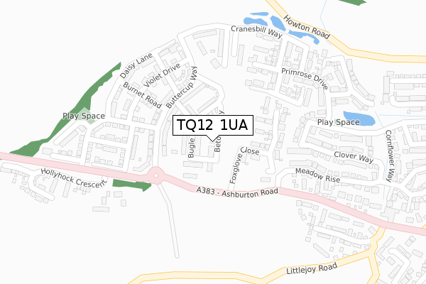 TQ12 1UA map - large scale - OS Open Zoomstack (Ordnance Survey)
