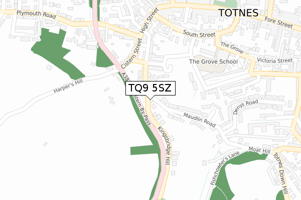TQ9 5SZ map - large scale - OS Open Zoomstack (Ordnance Survey)