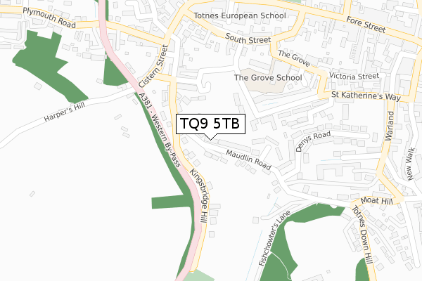 TQ9 5TB map - large scale - OS Open Zoomstack (Ordnance Survey)